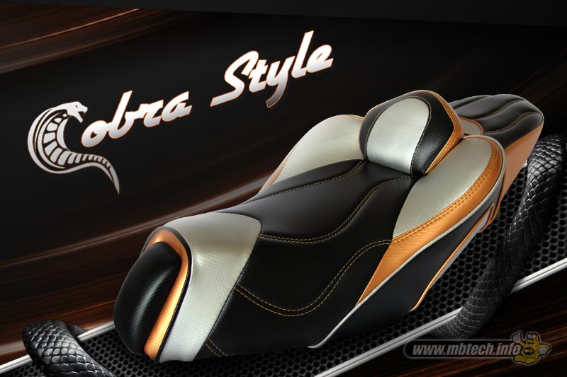 Jok Custom MBtech Cobra Style - Nominator RWS 2016 (3)