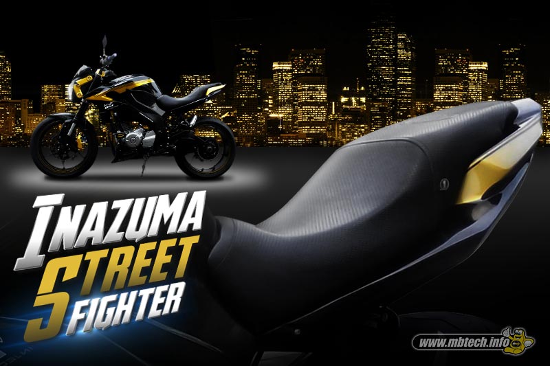 Suzuki Inazuma Streetfighter (MBtech Camaro Big Dots) (2)