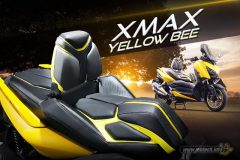 xmax-yellow-bee