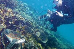 indonesia-raih-the-best-dive-destination-2017