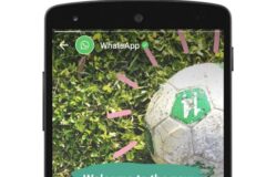 whatsapp-tema-gelap-sudah-bisa-diaktifkan-begini-caranya