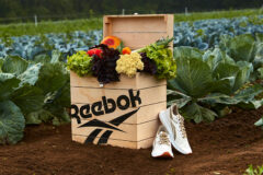 berbahan-tumbuhan-sepatu-reebok-bikin-gaya