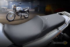 tiger-2000-98-tampil-fresh