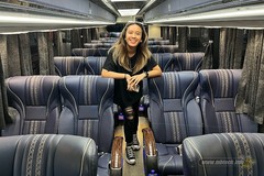 disa-the-queen-of-the-bus-angelien