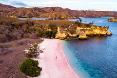 pink-beach-komodo-pantai-terindah-di-dunia-tahun-2025